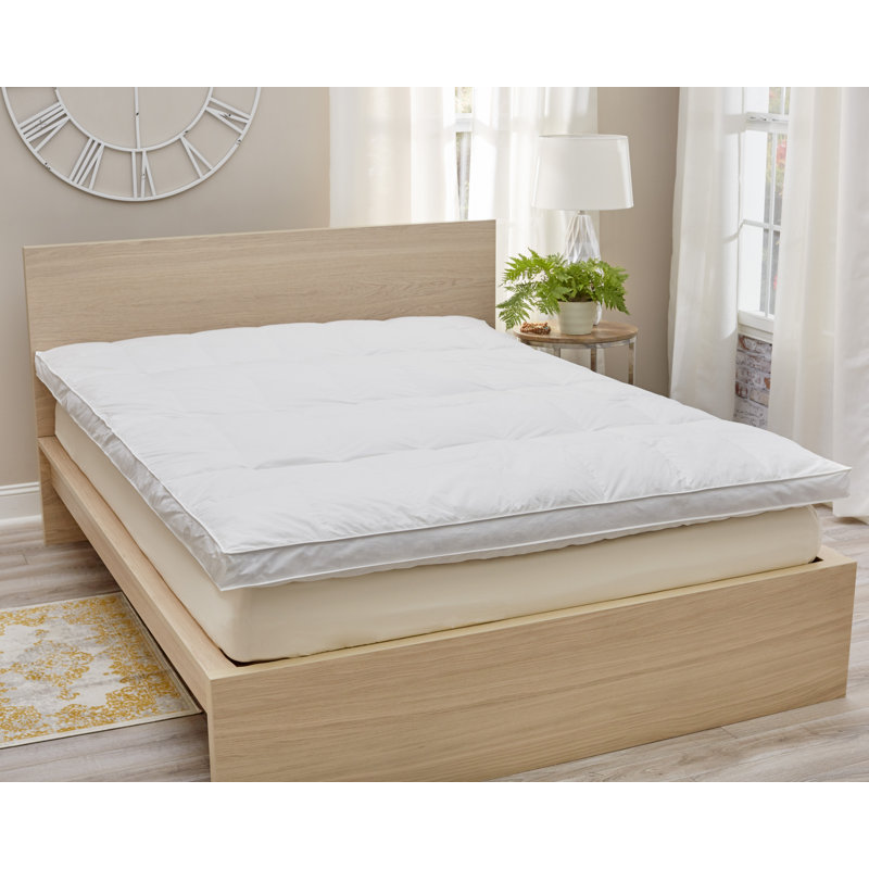 Arsuite Downtop 3" Feather Mattress Topper & Reviews Wayfair